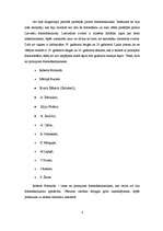 Referāts 'Fotogrāfijas ienākšana Latvijā 19.gadsimta beigās un 20.gadsimta sākumā', 4.