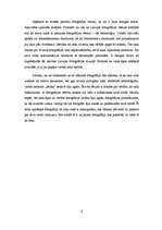 Referāts 'Fotogrāfijas ienākšana Latvijā 19.gadsimta beigās un 20.gadsimta sākumā', 8.