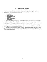 Biznesa plāns 'Viesu nams "Green mama"', 5.