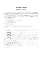 Biznesa plāns 'Viesu nams "Green mama"', 6.