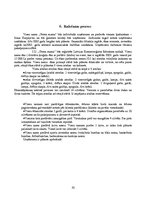 Biznesa plāns 'Viesu nams "Green mama"', 10.