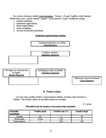 Biznesa plāns 'Viesu nams "Green mama"', 12.