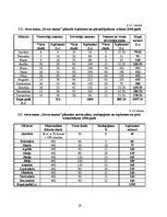 Biznesa plāns 'Viesu nams "Green mama"', 19.