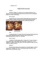 Referāts 'Salamankas province', 2.