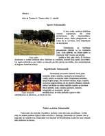 Referāts 'Salamankas province', 3.