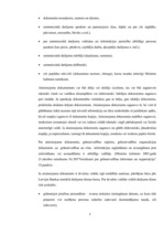 Referāts 'Grāmatvedības organizācija uzņēmumā', 5.