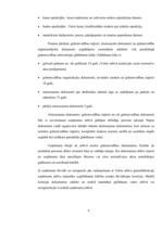 Referāts 'Grāmatvedības organizācija uzņēmumā', 6.