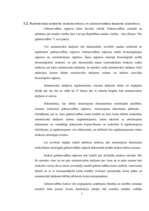 Referāts 'Grāmatvedības organizācija uzņēmumā', 7.