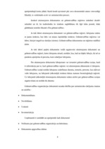 Referāts 'Grāmatvedības organizācija uzņēmumā', 8.