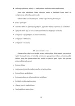 Referāts 'Grāmatvedības organizācija uzņēmumā', 10.