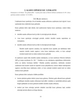 Referāts 'Grāmatvedības organizācija uzņēmumā', 14.