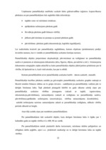 Referāts 'Grāmatvedības organizācija uzņēmumā', 22.