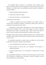 Referāts 'Grāmatvedības organizācija uzņēmumā', 24.