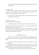 Referāts 'Grāmatvedības organizācija uzņēmumā', 31.