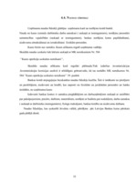 Referāts 'Grāmatvedības organizācija uzņēmumā', 33.