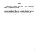 Referāts 'Veļas kopšanas vispārpieņemto simbolu nozīme', 3.