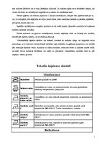 Referāts 'Veļas kopšanas vispārpieņemto simbolu nozīme', 5.