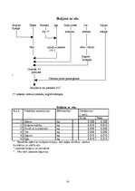 Prakses atskaite 'Kvalifikācijas prakse ēdienu gatavošanā un trīs tehnoloģiskās kartes', 14.