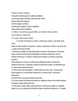 Prakses atskaite 'Prakses pārskats', 7.