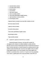 Prakses atskaite 'Prakses pārskats', 16.