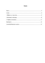 Referāts 'Motivācija Valsts policijā', 3.