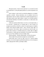 Referāts 'Motivācija Valsts policijā', 5.