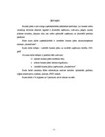 Biznesa plāns 'Skaistumkopšanas salona SIA "Saules svece" izstrāde un novērtēšana', 3.