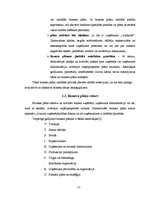 Biznesa plāns 'Skaistumkopšanas salona SIA "Saules svece" izstrāde un novērtēšana', 6.