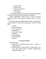 Biznesa plāns 'Skaistumkopšanas salona SIA "Saules svece" izstrāde un novērtēšana', 10.