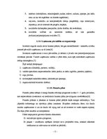 Biznesa plāns 'Skaistumkopšanas salona SIA "Saules svece" izstrāde un novērtēšana', 11.