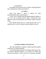 Biznesa plāns 'Skaistumkopšanas salona SIA "Saules svece" izstrāde un novērtēšana', 13.