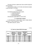 Biznesa plāns 'Skaistumkopšanas salona SIA "Saules svece" izstrāde un novērtēšana', 29.