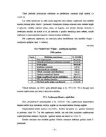 Biznesa plāns 'Skaistumkopšanas salona SIA "Saules svece" izstrāde un novērtēšana', 31.