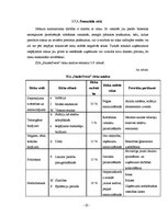 Biznesa plāns 'Skaistumkopšanas salona SIA "Saules svece" izstrāde un novērtēšana', 32.