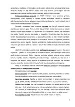 Konspekts 'Ziru Priednieku apmetnes arheoloģisko izrakumu pārskata analīze', 2.