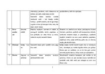 Konspekts 'SCAMPER', 2.