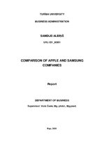 Referāts 'Report about Two Companies', 1.