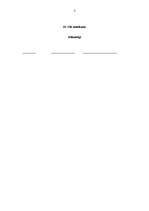 Paraugs 'SIA dibināšanas līgums ar vairākiem īpašniekiem', 3.