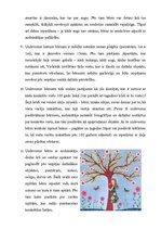 Paraugs '"Es pasaulē" - iepazīšanās ar apkārtni un sabiedriskās dzīves norisēm', 14.