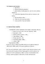 Biznesa plāns 'SIA "Viesu nams"', 7.