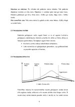 Biznesa plāns 'SIA "Viesu nams"', 9.