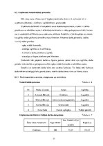 Biznesa plāns 'SIA "Viesu nams"', 21.