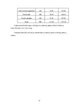 Biznesa plāns 'SIA "Viesu nams"', 22.