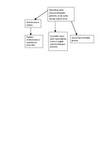 Konspekts 'Ieskaite izglītības vadības kvalitātē', 3.