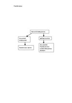 Konspekts 'Ieskaite izglītības vadības kvalitātē', 4.