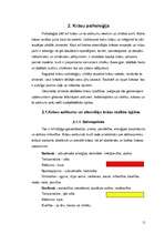 Referāts 'Krāsas glezniecībā, psiholoģijā un krāsu simboliskā nozīme', 11.