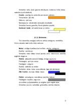 Referāts 'Krāsas glezniecībā, psiholoģijā un krāsu simboliskā nozīme', 12.