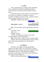 Referāts 'Krāsas glezniecībā, psiholoģijā un krāsu simboliskā nozīme', 13.