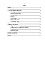 Referāts 'Skuvekļa "Gillette Phantom" mārketinga plāna izstrāde', 1.