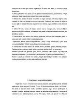 Referāts 'Skuvekļa "Gillette Phantom" mārketinga plāna izstrāde', 18.